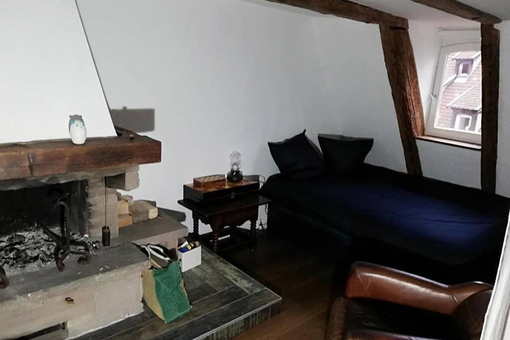 La Chaumiere Apartment Strasbourg Exterior foto